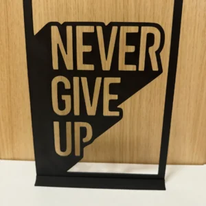 Never give up