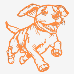 Perro corriendo