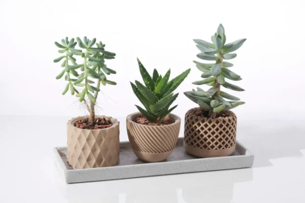 Maceteros geométricos